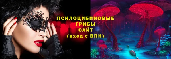гидра Алексеевка