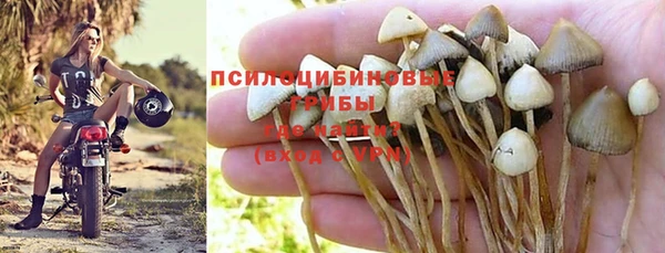 a pvp Алзамай