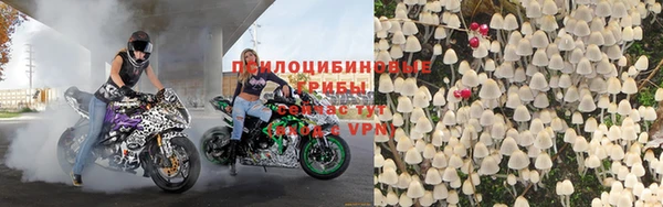 a pvp Алзамай