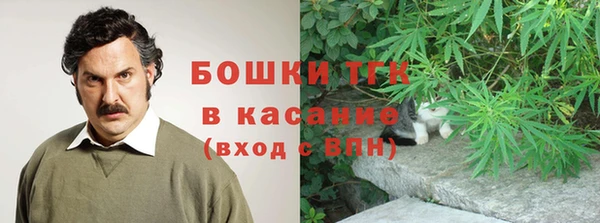 гидра Алексеевка